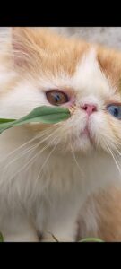 WhatsApp Image 2025-10-11 at 16.47.30