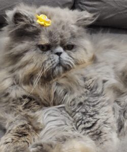 WhatsApp Image 2025-10-11 at 17.42.41 (2)