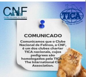 WhatsApp Image 2025-10-16 at 16.46.39